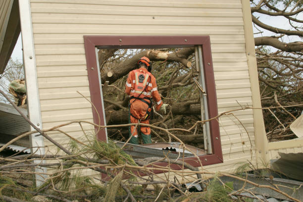 Bakersfield, CA Tree Care Services Company