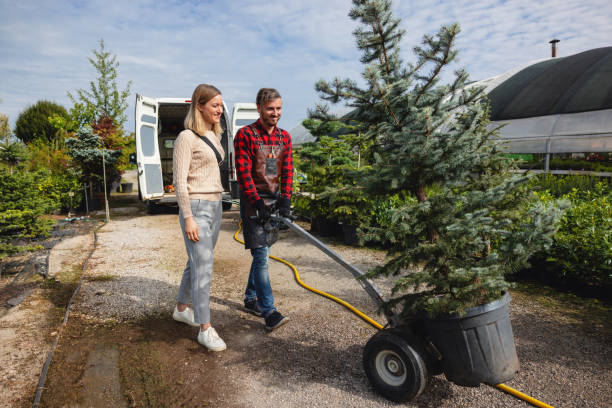 Lawn Watering Services in Bakersfield, CA